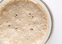 Qu’est ce que la poolish ? Qu’est ce que la poolish ?