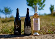 Les meilleures combinaisons de vins et pizzas pour un repas savoureux Les meilleures combinaisons de vins et pizzas pour un repas savoureux